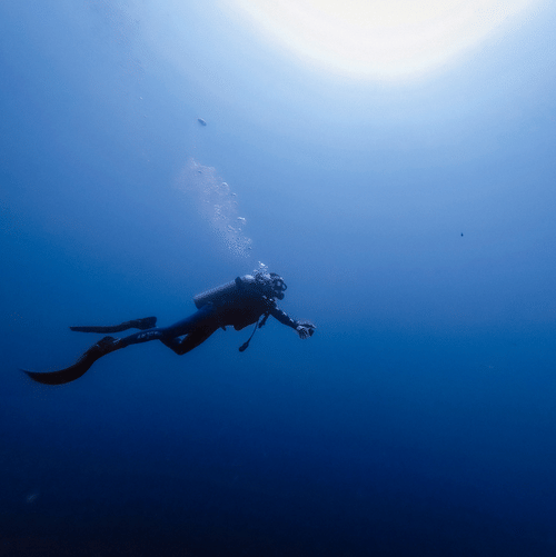 A view from below a water body of a person scuba diving above - Port Blair Scuba Diving Price