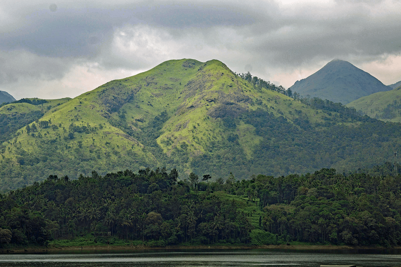 Green mountains in view in the distance with a forest cover in front of it in Wayanad.