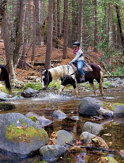 People riding horses besides a stream in a forest - Narrow Gauge Inn - A Serenite Hotel Near Fish Camp.