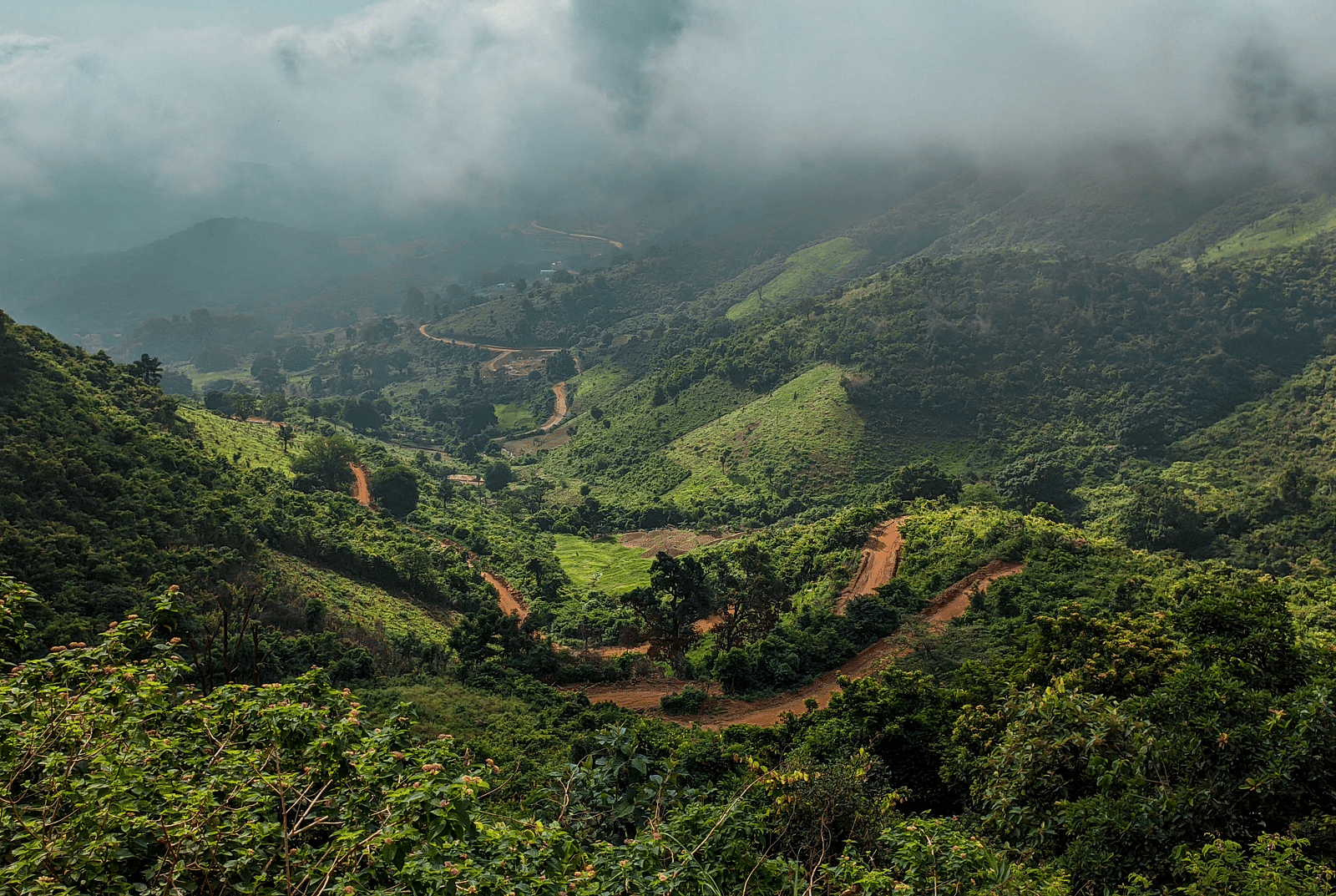 mohan-vamsi-somireddi-ZqudEbF1QwY-unsplash