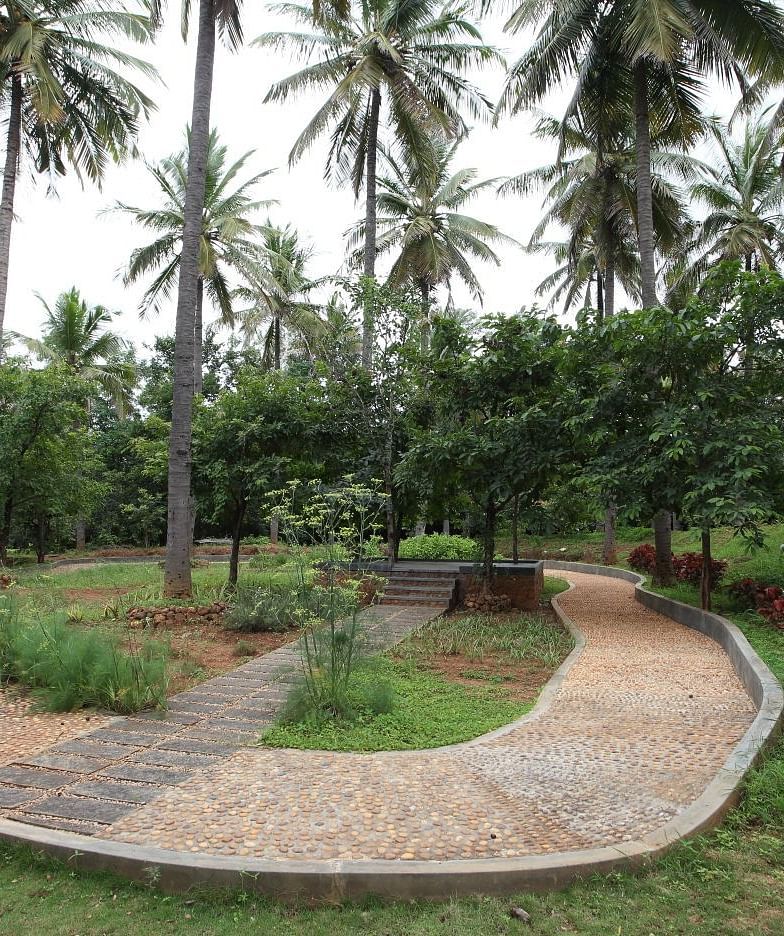 A winding path through a garden with palm trees, outdoor setting - Shreyas Retreat