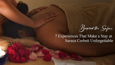 A promotional banner featuring a relaxing spa treatment at Saraca Corbett with the title 'Beyond the Safari: 7 Experiences That Make a Stay at Saraca Corbett Unforgettable.'