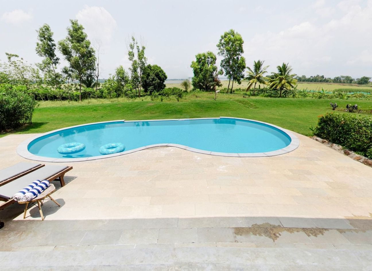Swimming pool with curved edges with deck chairs arranged on the side and trimmed hedge in the background at Fireflies Resorts, Kabini.