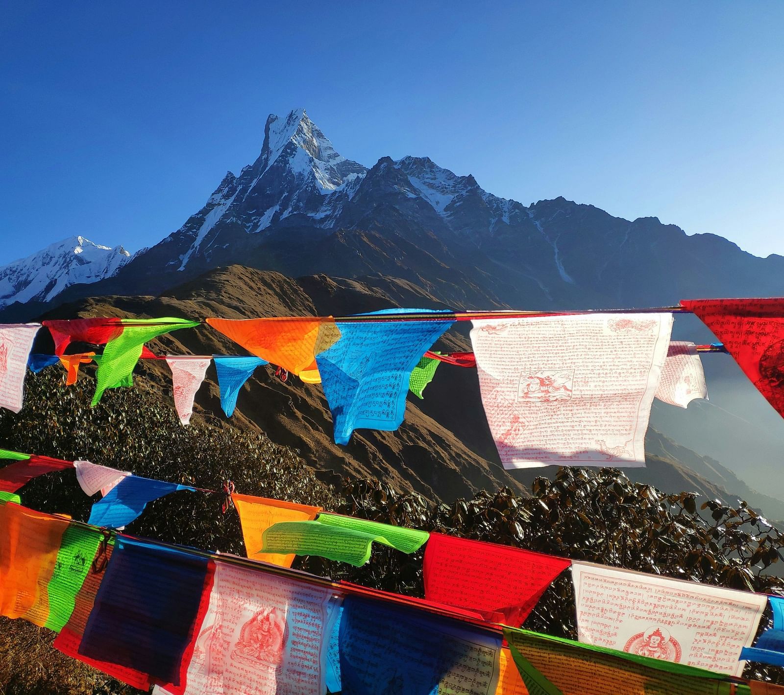 An overview of many coloured cloth hung on a sting in the Mardi Base Camp.