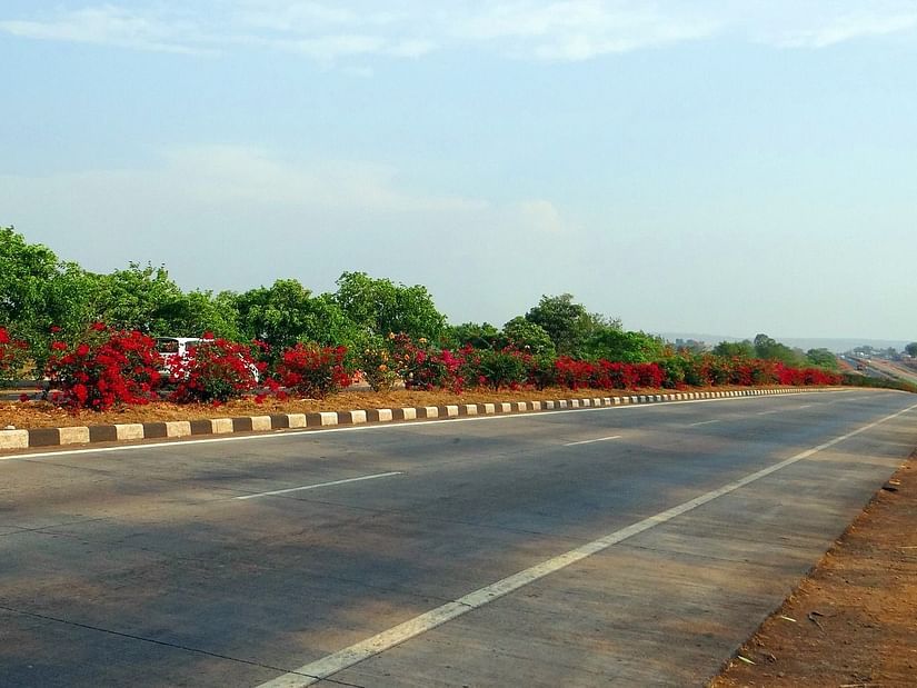 A road surrounded by wilderness