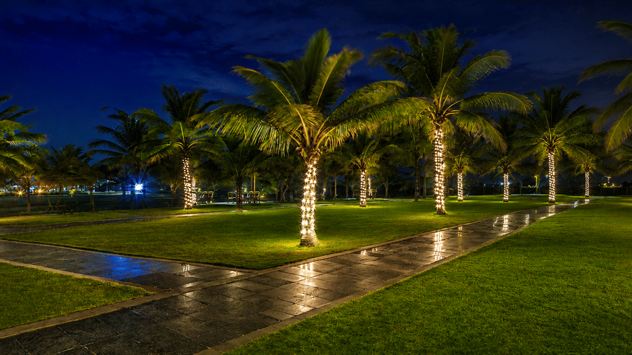 Garden pathway lined with illuminated palm trees at Chariot Beach Resort, creating a magical and serene ambiance in the evening hours.