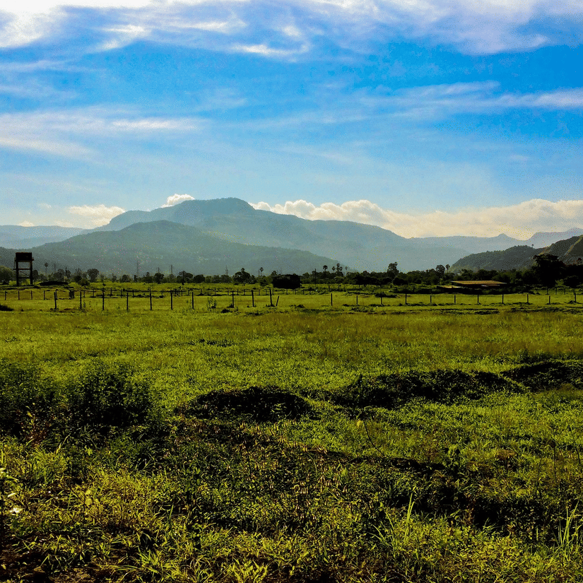 A vast green field leading towards misty mountains under a bright blue sky with wispy white clouds.