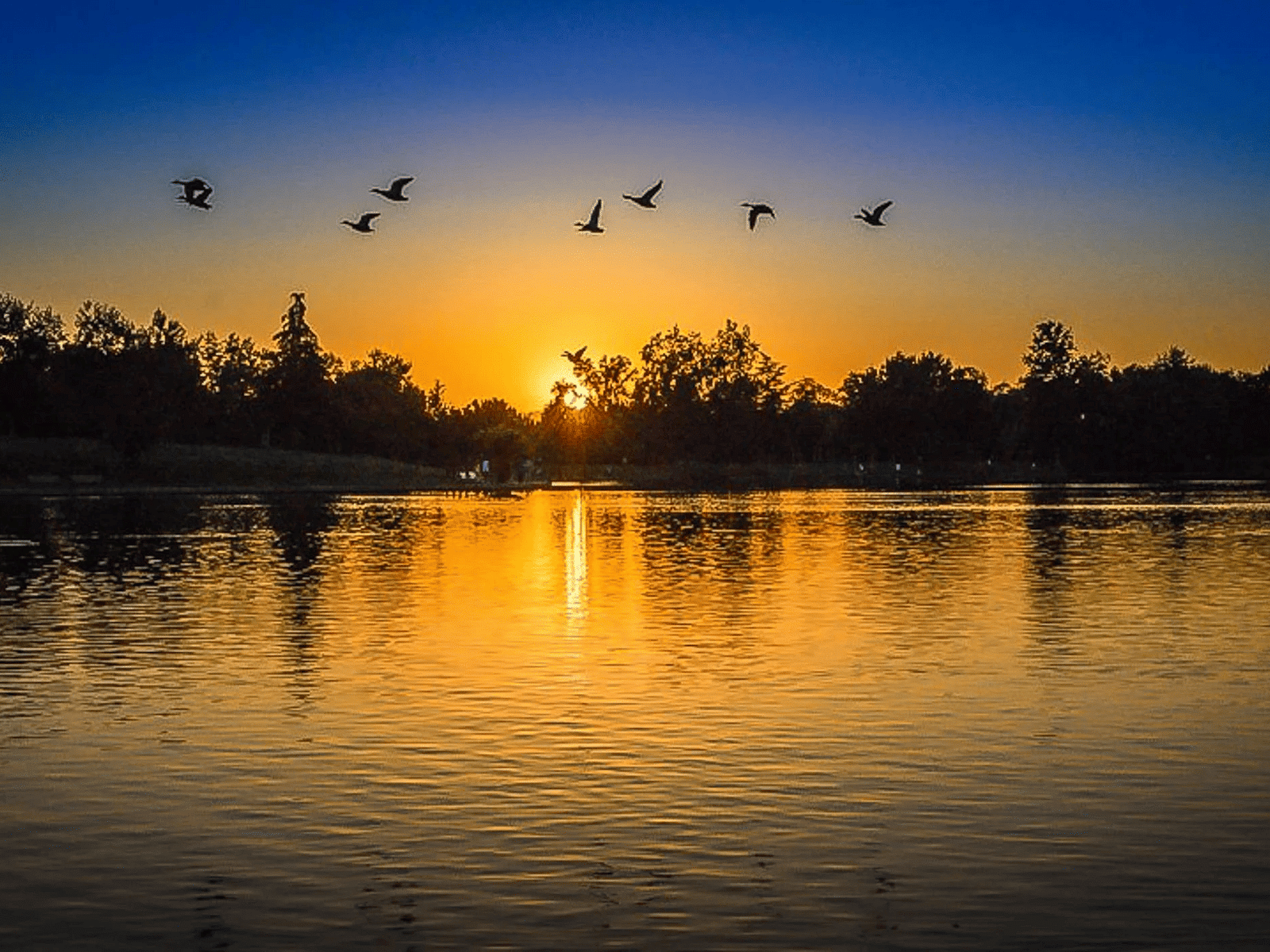 A scenic view of a lake with trees and orange-blue hued sky in the background.