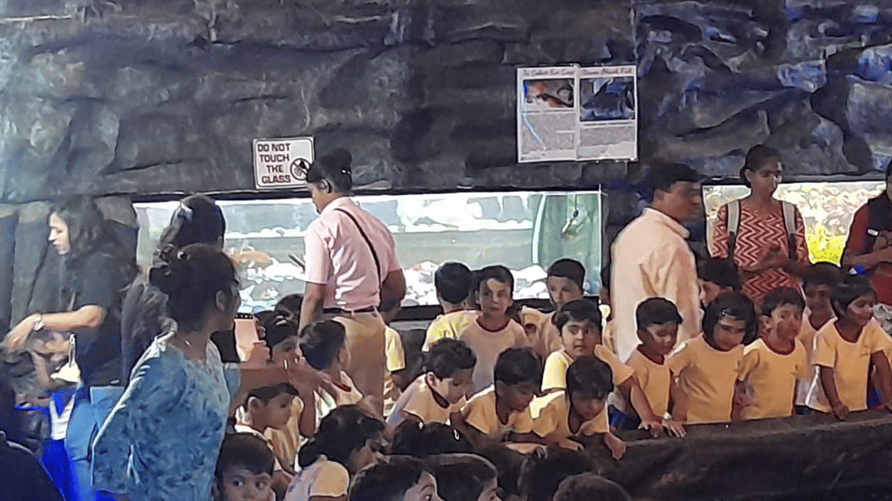Excited children at EsselWorld Fish Paradise, in what appears to be school uniforms, sit or stand closely in a dark aquarium area, looking intently at a large illuminated fish tank.