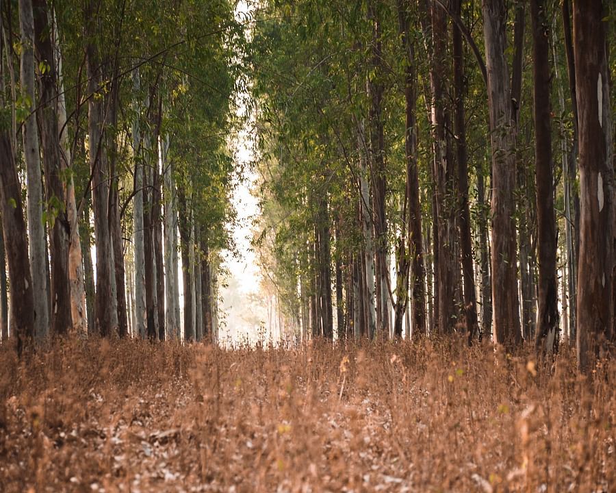 amit-mahato-kQHMUtv6A5Y-unsplash