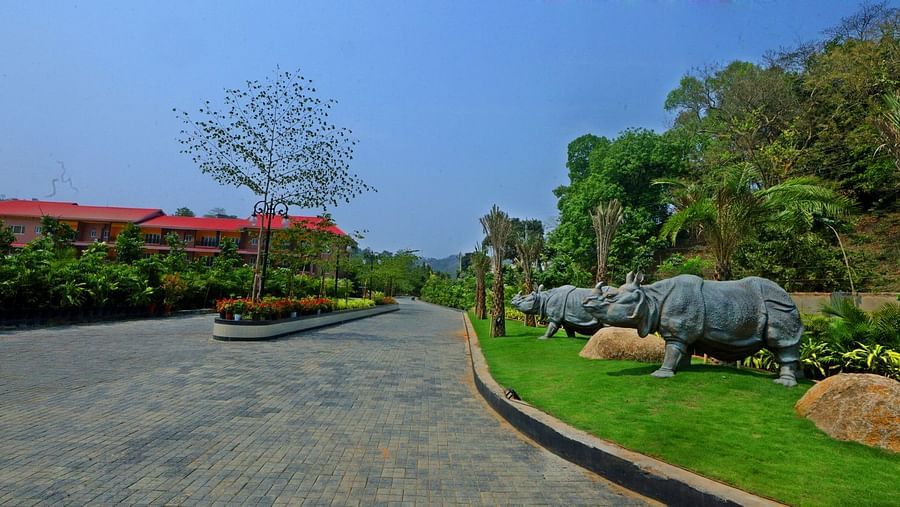 Public Area