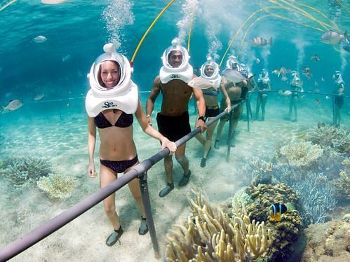 underwater sea walking, marine life, coral reefs, human.