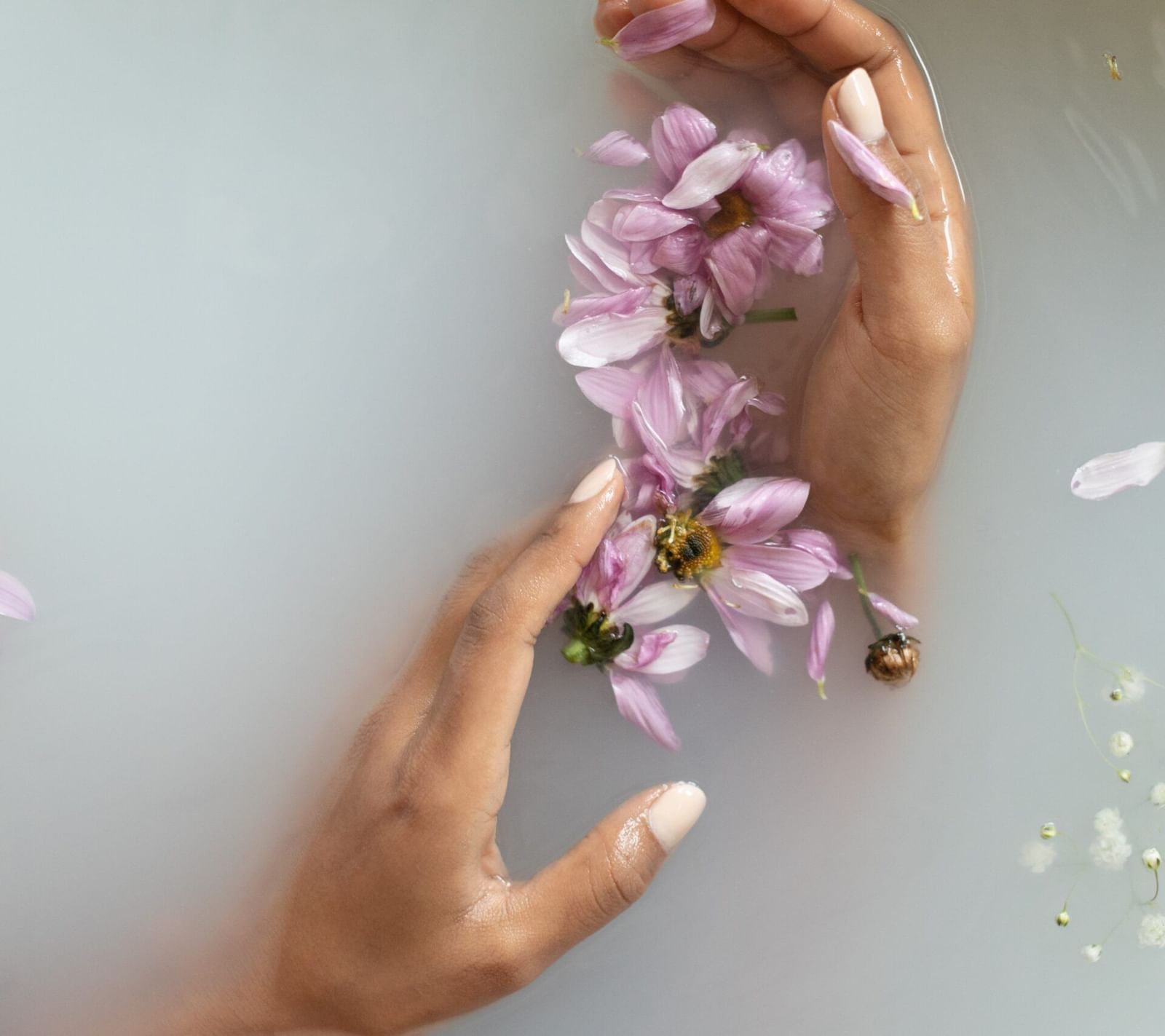 Close-up shot of the palms of a person gently brushing against the pink flower petals in white translucent water.