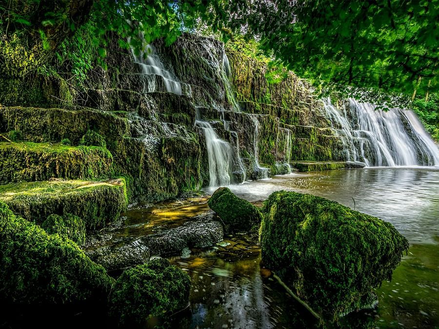 Shot of a small waterfall with greenery all around.