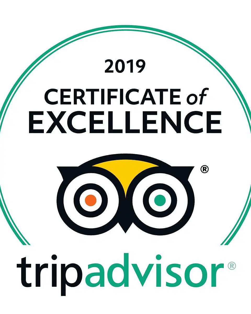 A creative by TripAdvisor for 2019 Travellers Choice awards.