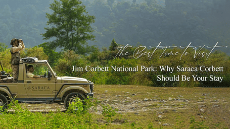 Open jeep with guests on a jungle safari trail, surrounded by green forests and misty hills.