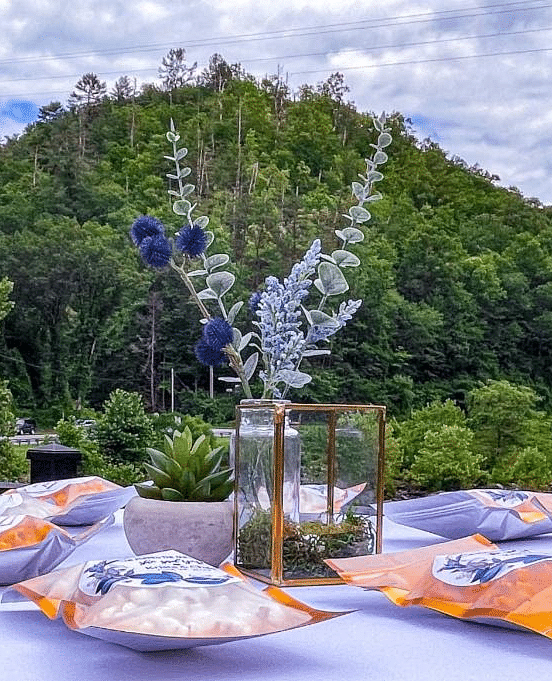 a table set with cutlery and a flower vase in the middle with a beautiful backdrop of lush green mountains 