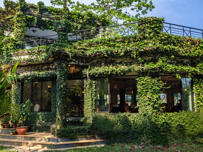 The Hideaway Restaurant covered in green leaves at The Riverwood Forest Retreat, Dooars