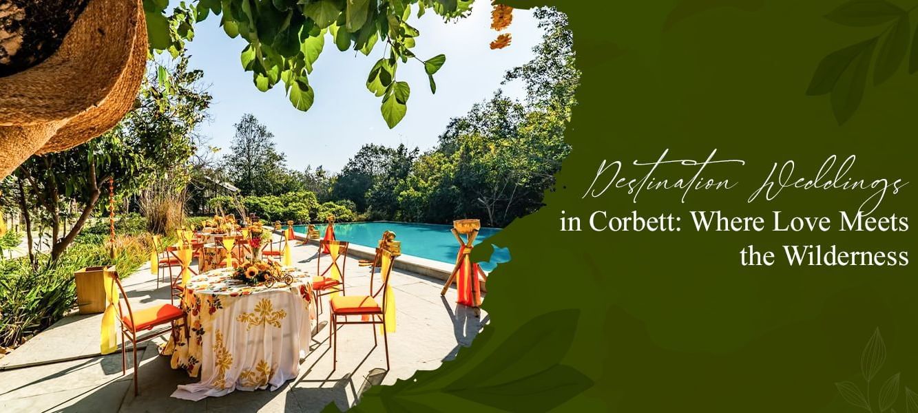 Destination Wedding in Corbett: Where Love Meets the Wilderness ???????? A beautiful outdoor setup by a pool.