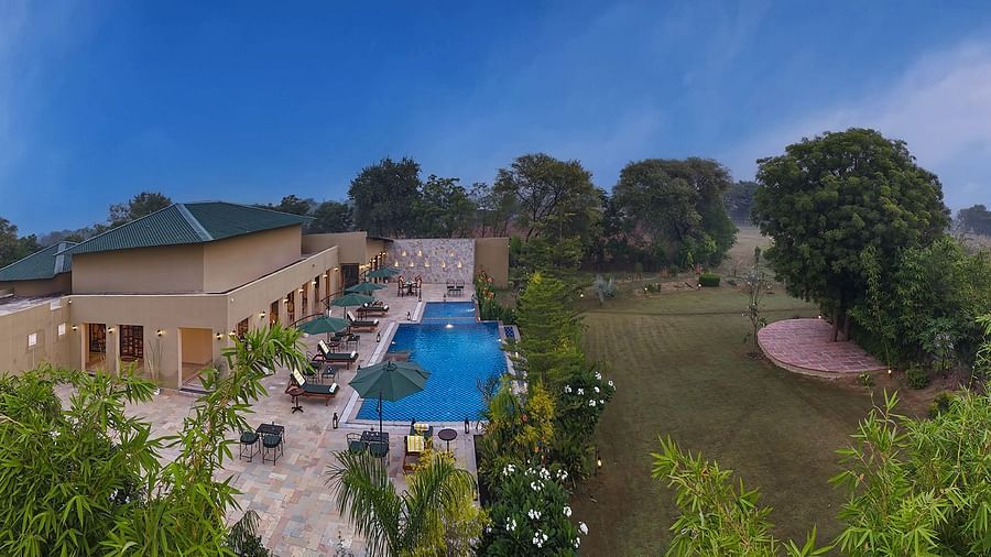 An elegant building with a green roof overlooks a stone-tiled poolside area, featuring sun loungers, green parasols, and ambient lighting, all set against lush greenery and expansive lawns - Singhvilas, Ranthambore