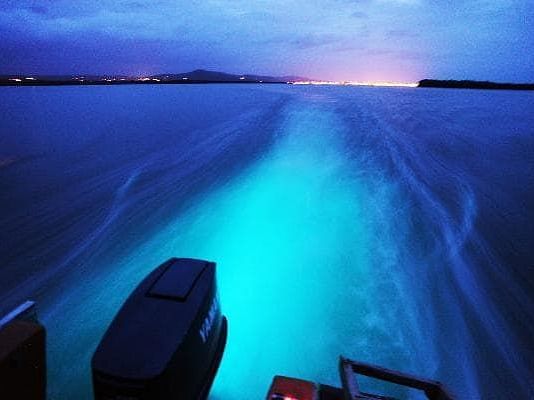A speedboat races across dark water at night, leaving a vibrant blue, illuminated wake, with distant land visible under a dark sky.