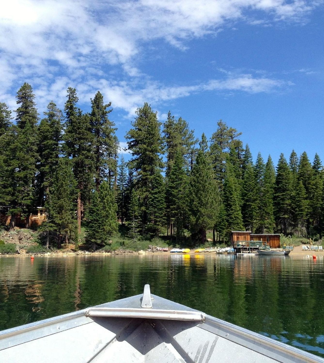 A boat on a calm lake faces a shoreline with tall pine trees and a clear blue sky