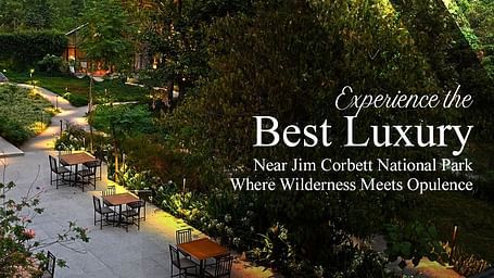 Experience the Best Luxury Near Jim Corbett National Park with an upscale outdoor dining setup surrounded by lush greenery and evening ambience.