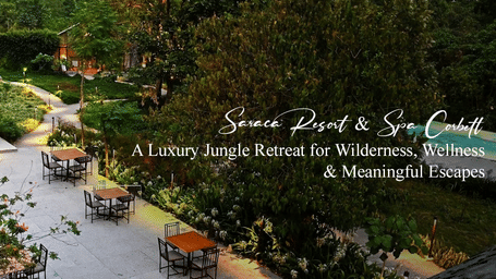 Luxury jungle retreat Serene Past & Spa Garden with outdoor seating, paved walkways, wooden and stone architecture surrounded by greenery, with text promoting wilderness wellness and meaningful escapes.