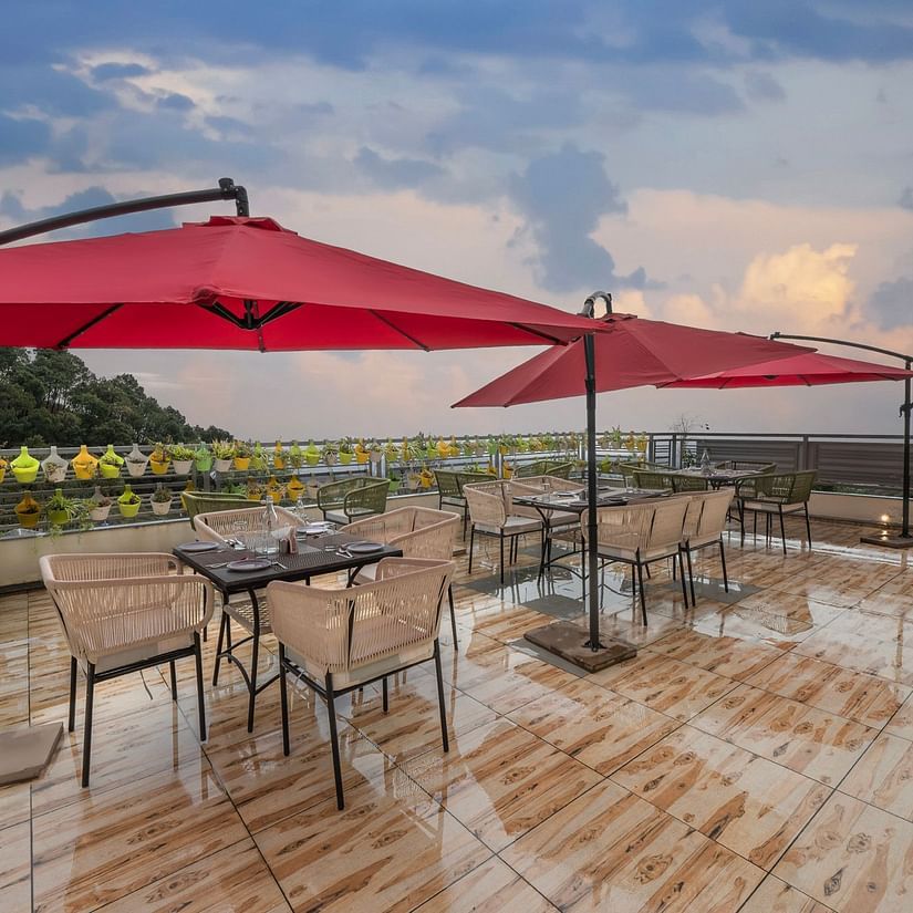 Seating arrangements in the terrace with a canopy above - Stone Wood Mountain Resort, Dharamshala
