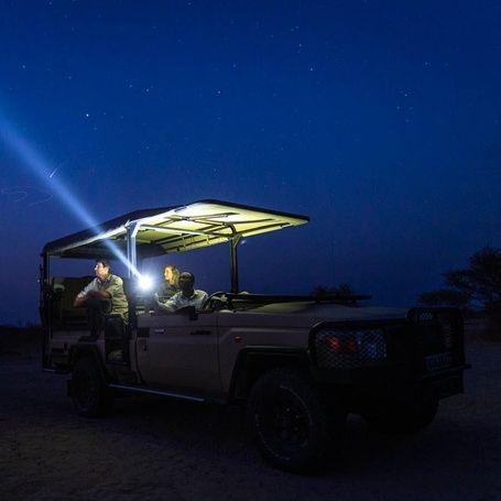 Night safari vehicle with spotlight on a starry sky.