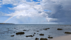 Blog Diving on a rainy day hero image