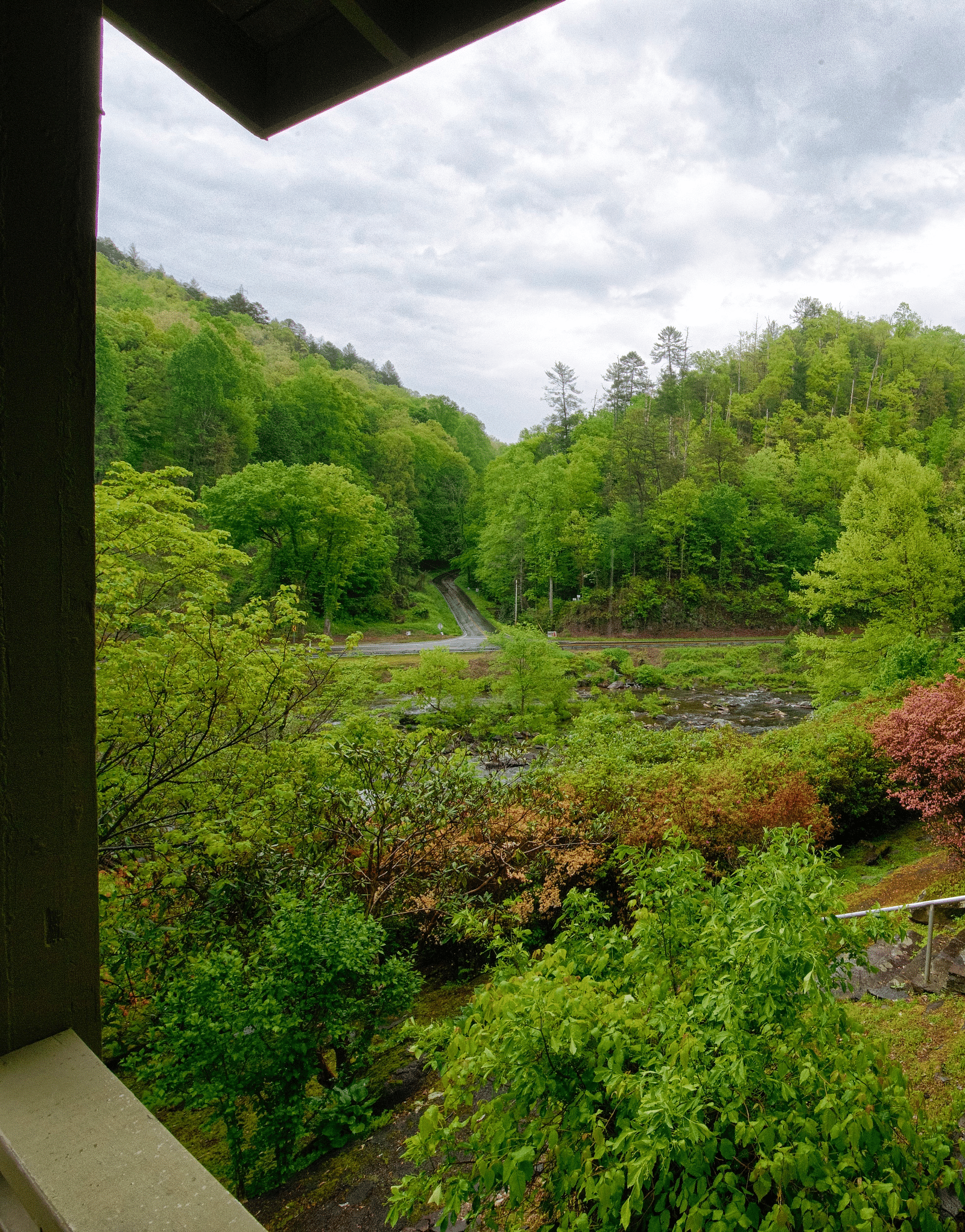 a beautiful lush green scenery from the wooden porch with a cloudy sky in the background - Historic Tapoco Lodge