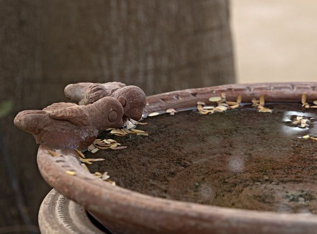 A close up shot of a decorative piece with carvings of birds on it - MANVAR Resort & Desert Camp