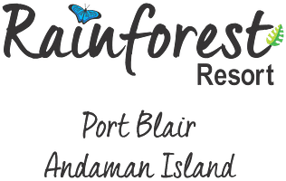 Rain forest logo-header