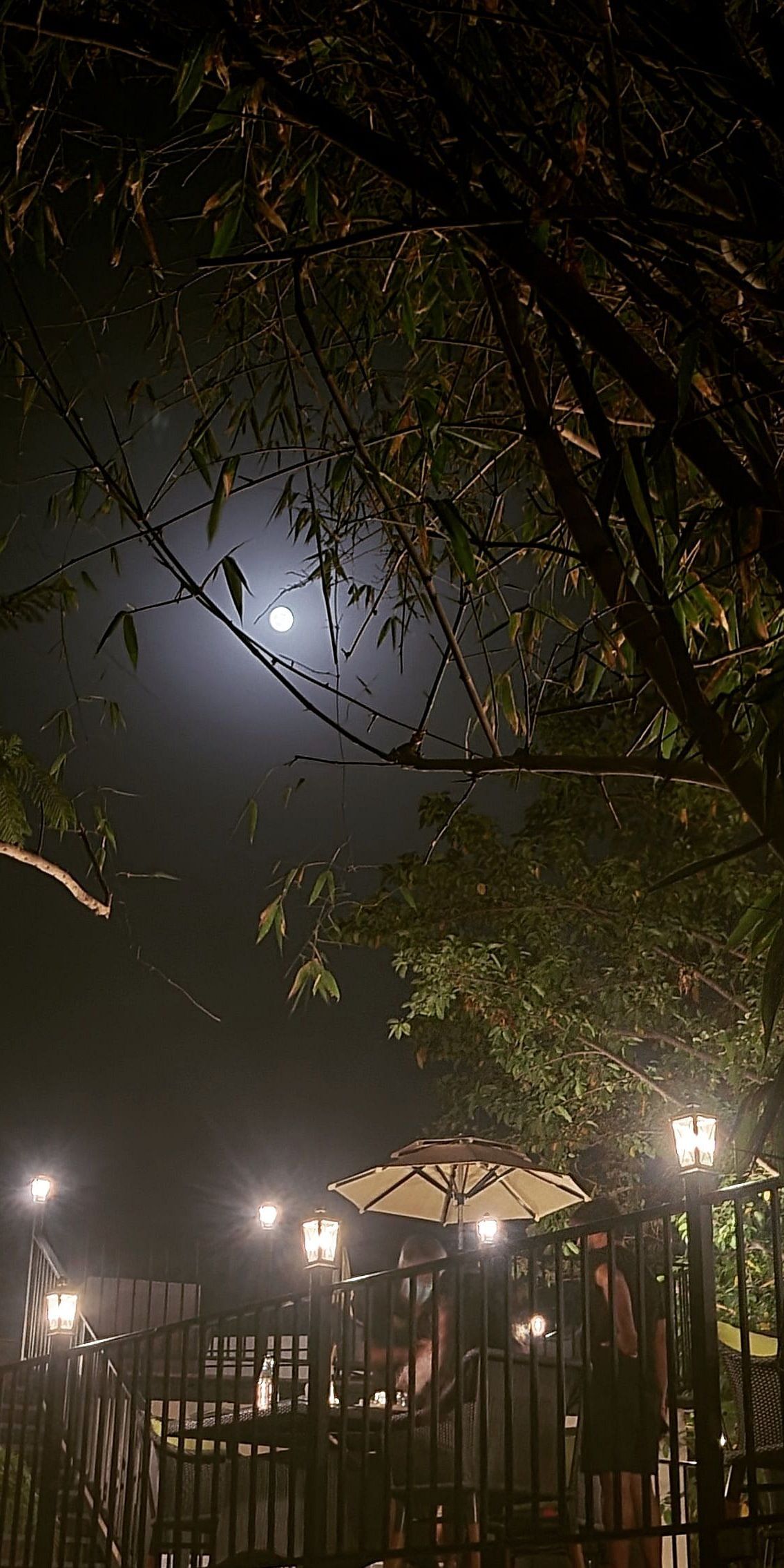 jim corbett resort