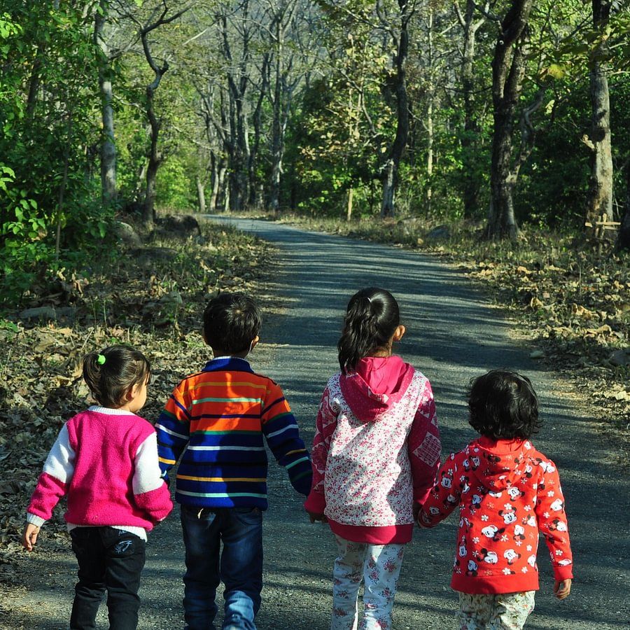 a group of four kids walking hand-in-hand on an empty road surrounded by green trees - the golden tusk