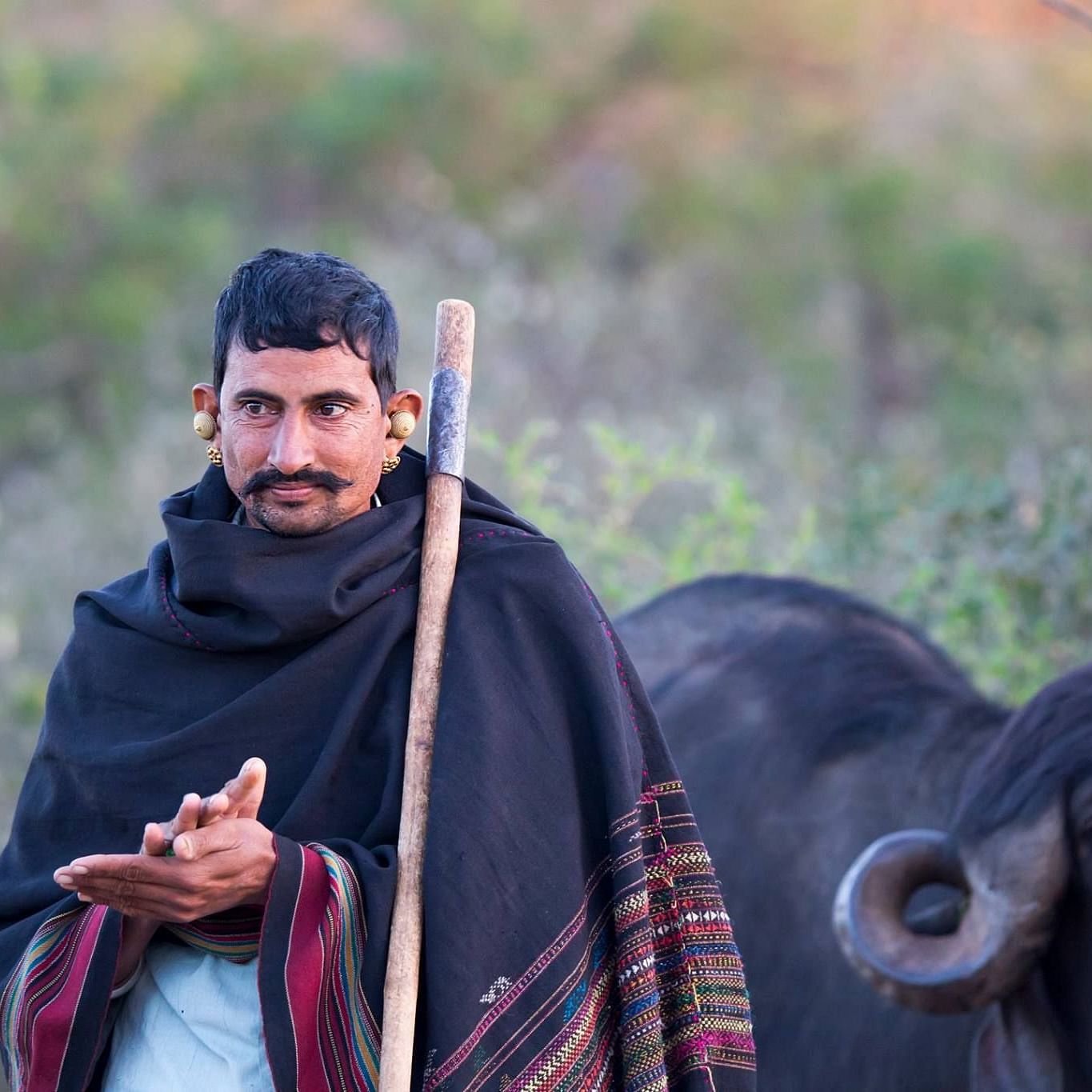 A buffalo herder standing with a stick and a buffalo is behind him.