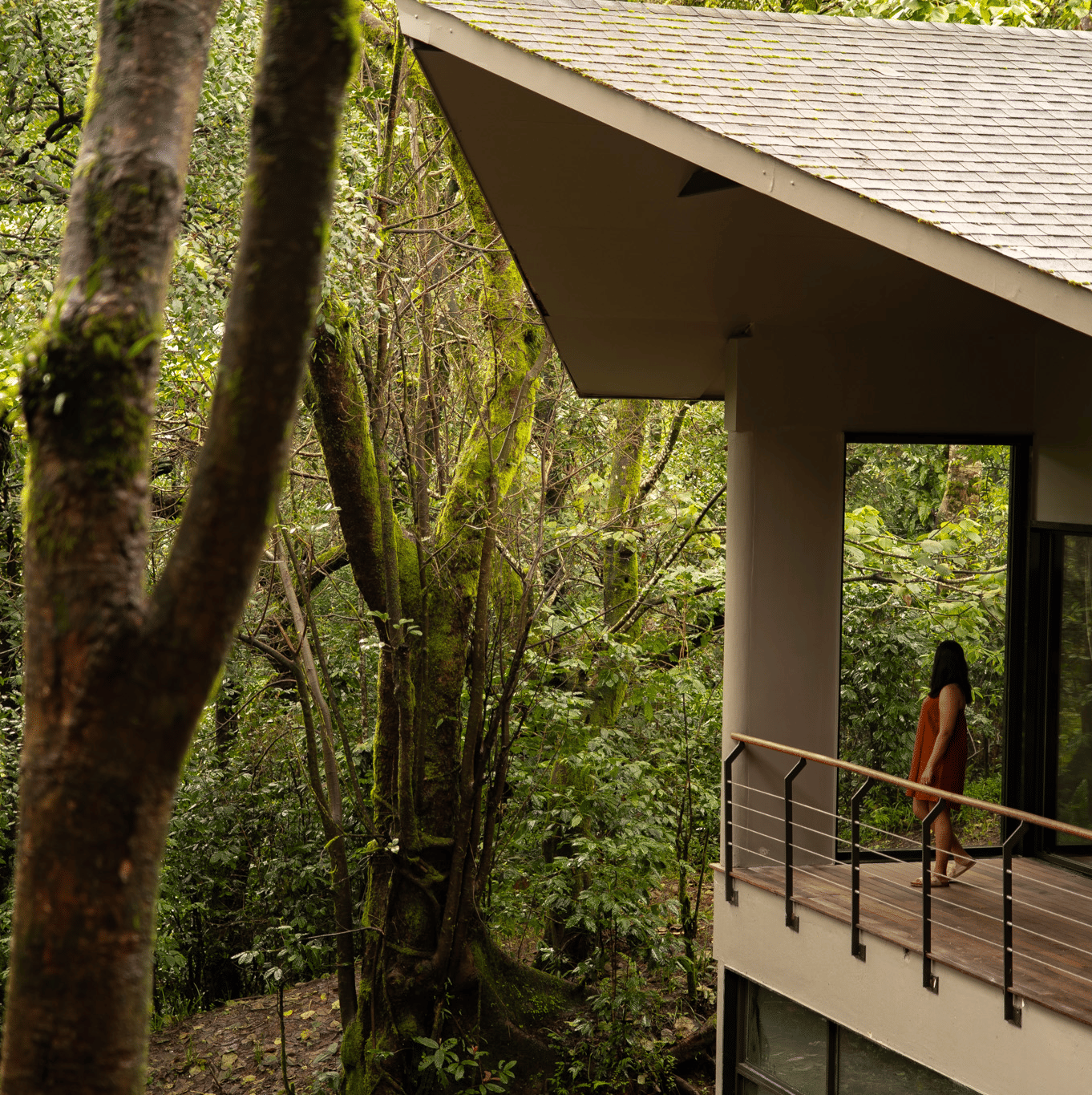 A balcony at Stanley Leisure with glass doors, wooden railings, and forest views surrounding the building.