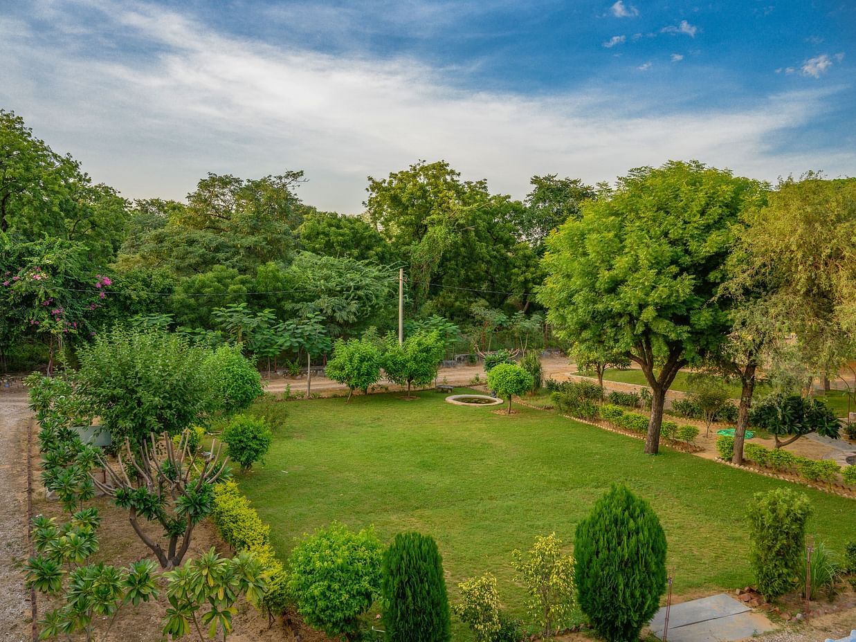 The Bagheera Jaipur - lawn at our property carpeted with green trees captured during daytime