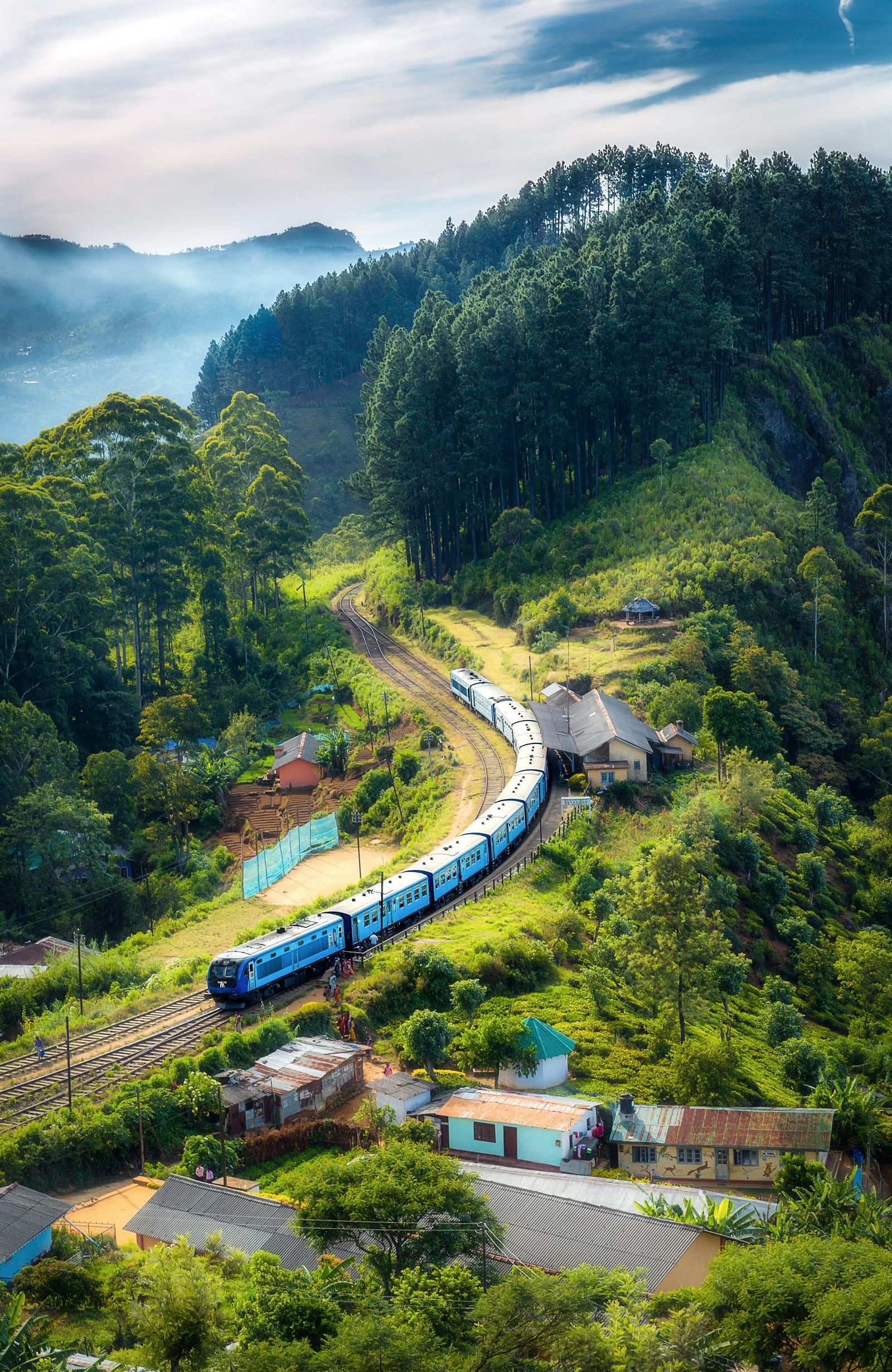 A train moving on a railroad passing through a jungle