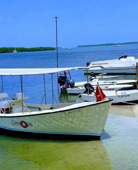 Boats moored on the shore at Casa Morada with clear skies, palm trees, and calm sea in the background.