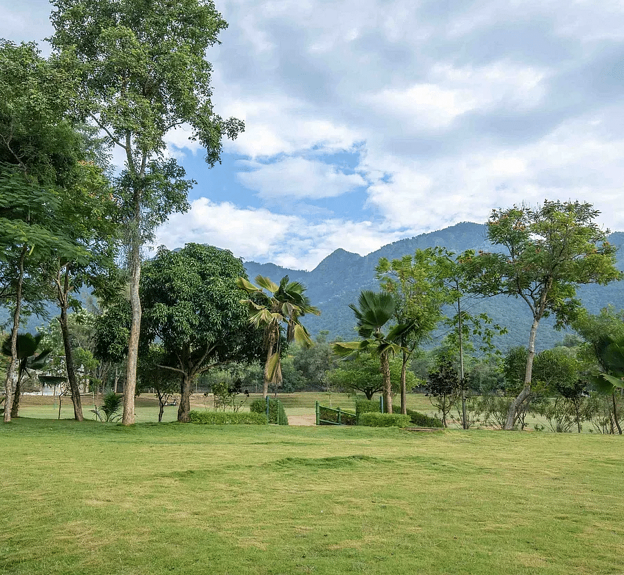 A lawn area with an array of trees and majestic mountain ranges in the backdrop