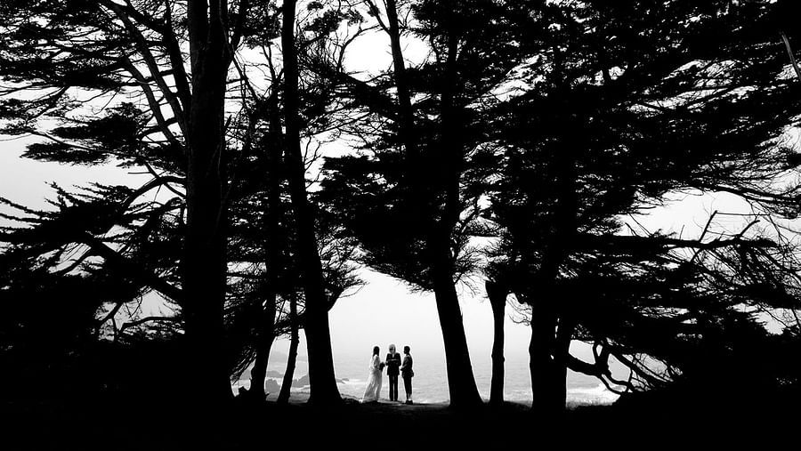 Black and white shot of trees framing a couple near the ocean