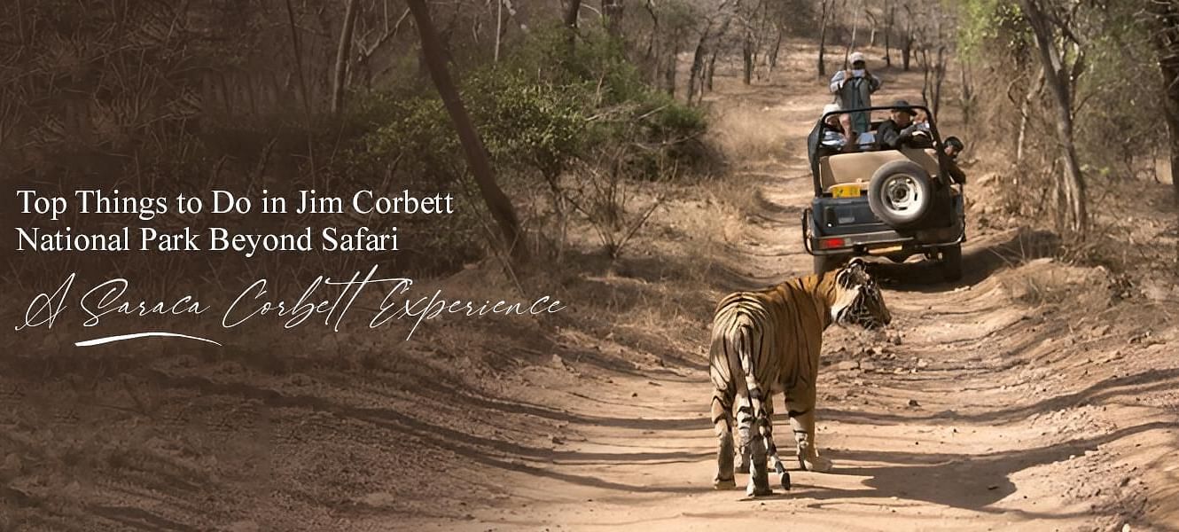 Top Things to Do in Jim Corbett National Park Beyond Safari A Saraca Corbett Experience banner