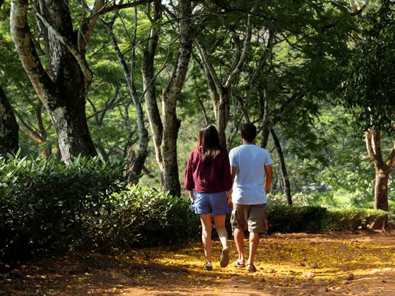 couple walking through the forest