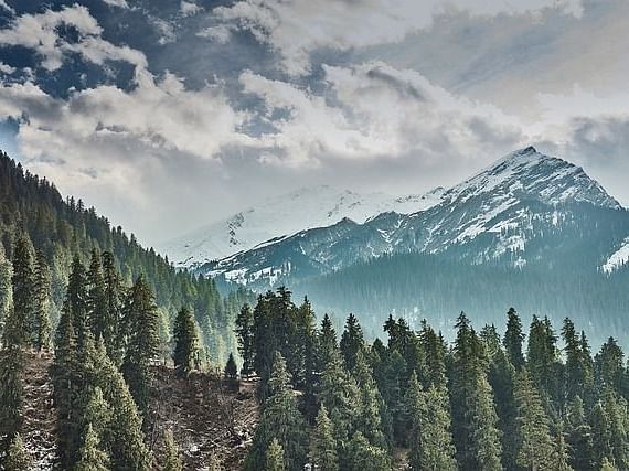 A picture of trees and mountains coated in snow