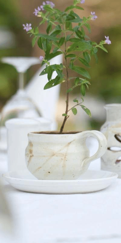Elegant white teapot and teacups arranged with fresh flowers on a table at Amanvana Spa Resort, Coorg.