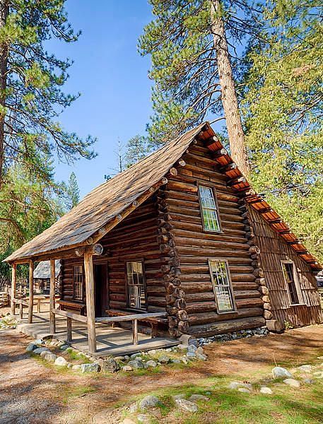 An overview of a cabin in the woods with tall trees next to it and blue sky above.