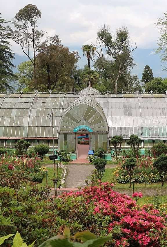 A blooming garden filled with vibrant flowers and surrounded by trees.