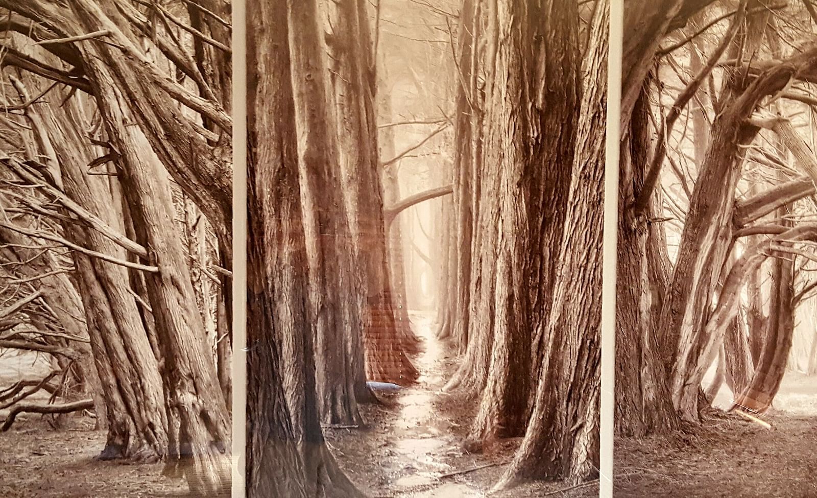 A stunning tree-inspired wall art piece in one of our rooms - Brewery Gulch Inn & Spa